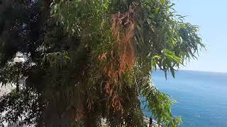 Tour to Akropolis heritage world, Athen, Greece Part 2