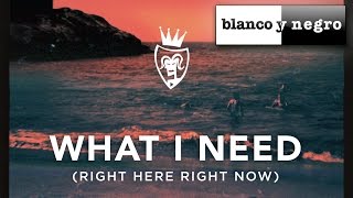 Dasco Feat. Justina Maria - What I Need (Right Here, Right Now) Rob Roar White Isle (Official Audio)