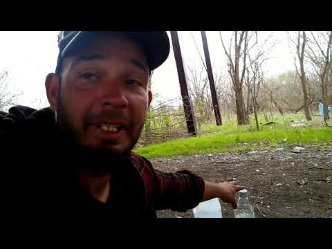 San Antonio shenanigans