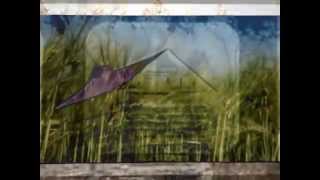 buffalo herds and windmills- written by sean kelly