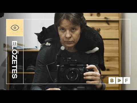 Mérleg-hintán trailer