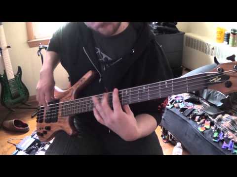 The Black Dahlia Murder - Raped in Hatred by Vines of Thorn on bass guitar