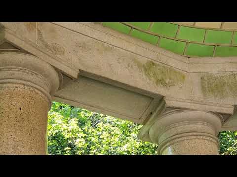 Gazebo Filled with Mud Dauber Nests in Holmdel, NJ