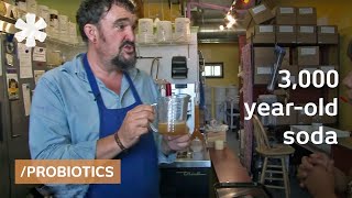 Future soda Micro-fermented, probiotic, water kefir brew