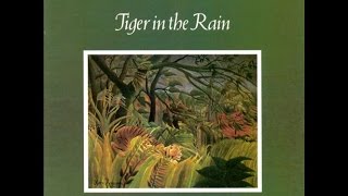 Tiger in the Rain [full cd]  ◙  MICHAEL FRANKS