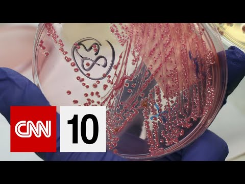 E.大腸菌 Outbreak In The U.S. ｜2019年4月25日 (E. Coli Outbreak In The U.S. | April 25, 2019)