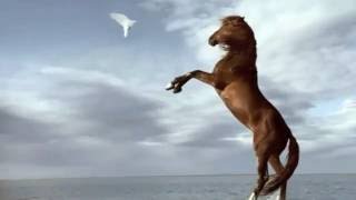 Kadish - Armand Amar