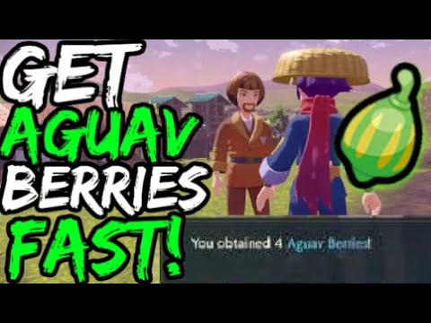 How To FARM Aguav Berries FAST In Pokemon Legends Arceus!