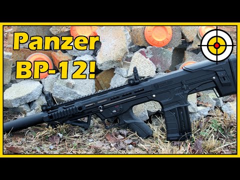 An AUG SHOTGUN? The Serengeti AUG 12 (Panzer Arms) | IWA 2025