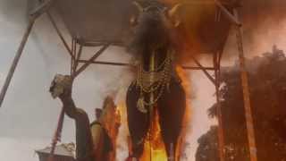 Balinese Royal Cremation Ceremony | The Funeral - Band of Horses