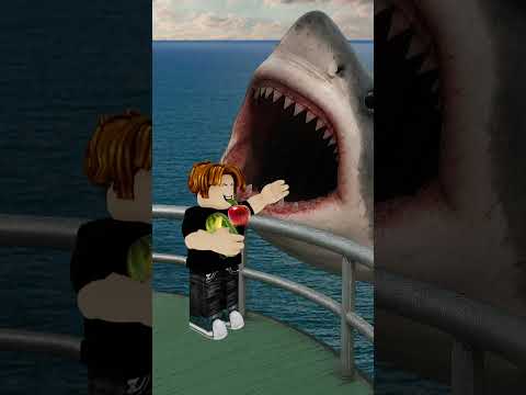 Bacon Hair Feeds the Shark