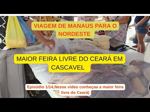  FEIRA LIVRE DE CASCAVEL–CE – UMA DAS MAIORES DO ESTADO