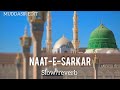Naat E Sarkar Qabar Ka Khof Na Rakhna Aa Dill Slow Reverb Naat 2023