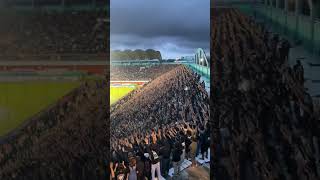 Download lagu BRIGATA CURVA SUD #bcsxpss #bcs #psssleman #ultras #curvasudmilano #acmilan #viral mp3