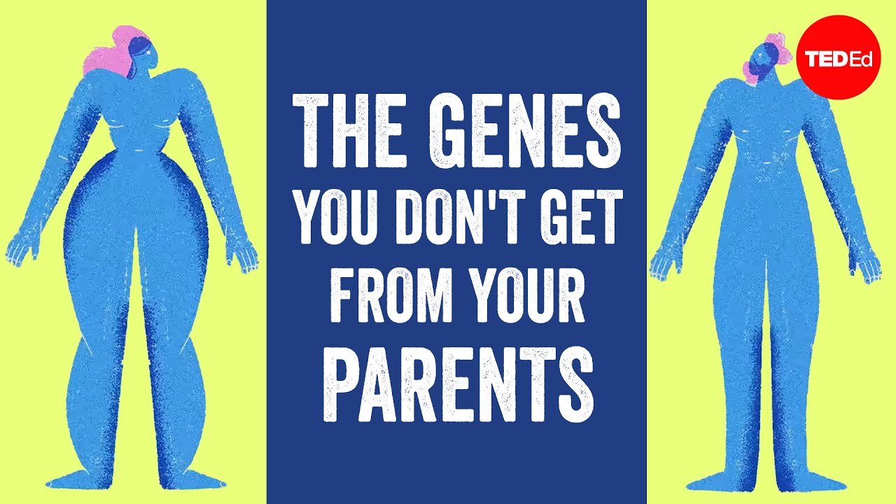 What is the name of an organism that is genetically identical to its parent?
