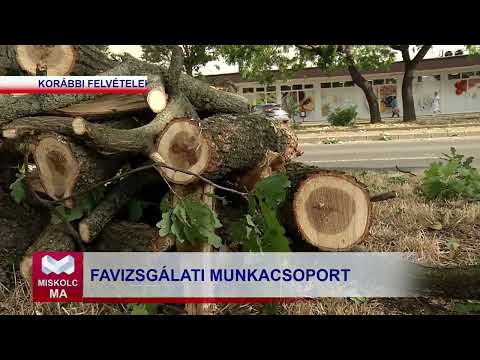 Videó előnézet