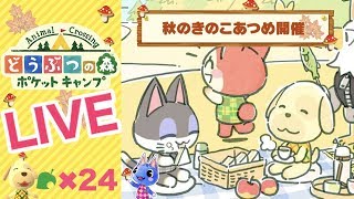 [ポケ森]ライブ#24 今回はキャンプ場巡りします♪ 雑談しながらほのぼのスローライフ どうぶつの森ポケットキャンプ