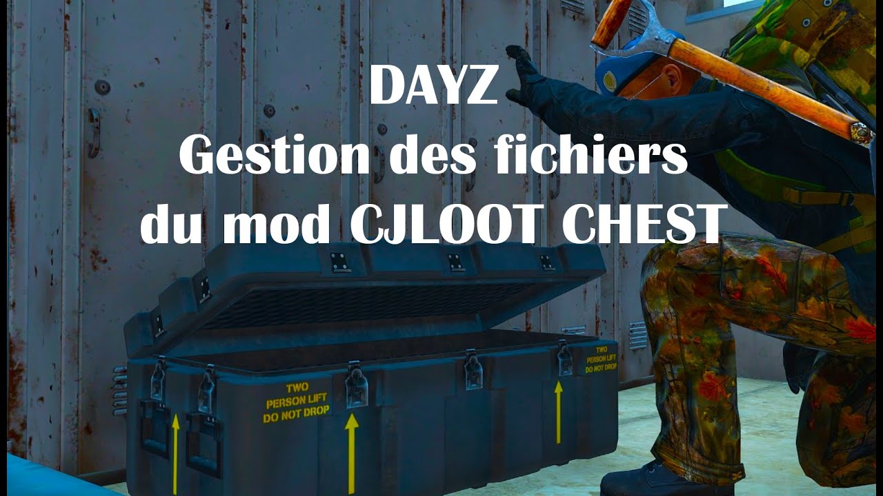 Vidéo DayZ Aide