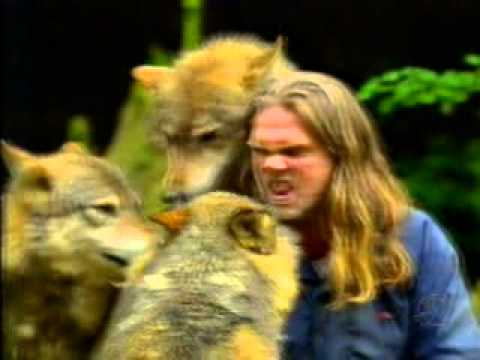 Destaques do Domingo Espetacular   15 12 2011