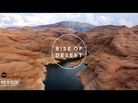 Barbur - Rise of Desert (Official Video)