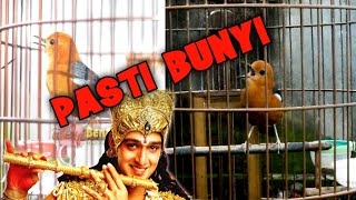 Download lagu MANA MUNGKIN ANIS MERAH HANYA DIAM DENGAR VIDEO INI, PANCINGAN ANIS MERAH BIAR BUNYI mp3