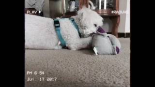 Willow &amp; Nature ♡