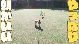 休みに入ったので朝から行くよ！😎