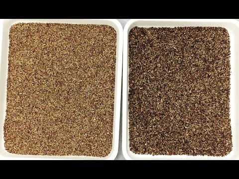 download lagu mp3 mp4 Small Pecan Pieces, download lagu Small Pecan Pieces gratis, unduh video klip Small Pecan Pieces
