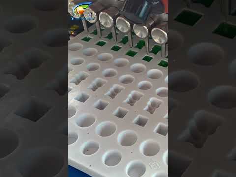 DHA Multivitamin Gummy