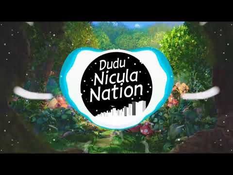 Niklas Ashltröm - Flavors Bass Boosted