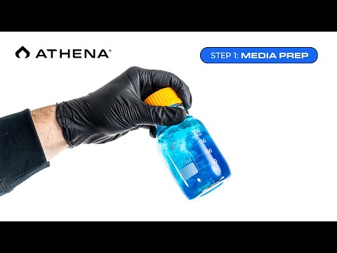 Tissue Culture Kit – Step 1: Media Prep