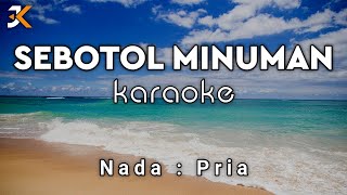 Download lagu KARAOKE SEBOTOL MINUMAN - LEO WALDY | NADA PRIA | COVER KORGPA50 mp3