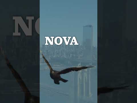 Nova York - Ciro Di Lucca