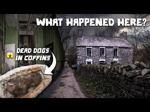 , title : 'HORRIFYING Discovery In This Abandoned Welsh Cottage! - Found Dead Dogs in Coffins'