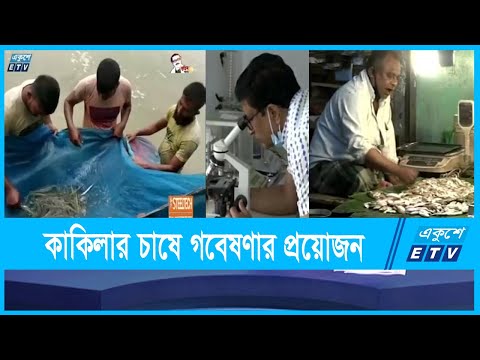 কাকিলা মাছের কৃত্রিম প্রজননের কলাকৌশল উদ্ভাবন করেছেন গবেষকরা