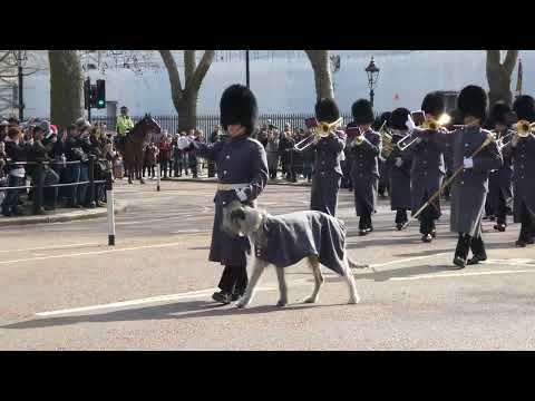 Band of the Scots Guards and 1st Battalion Irish Guards