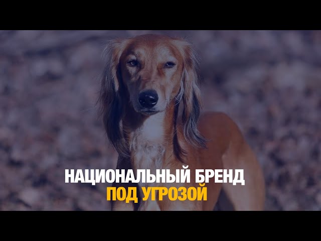 Кому принадлежат тазы?