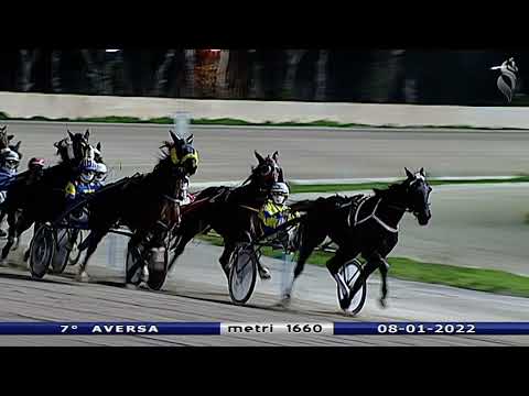 Aversa trotto 8 Gennaio 2022 - 7° Corsa