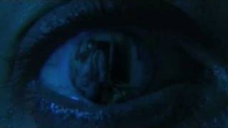 The Stalker Chronicles: Episode Two: Reflections