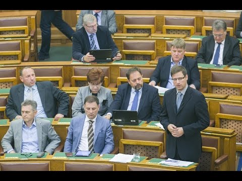 Gulyás Gergely. A Fidesz frakcióvezető-helyettese keddi...