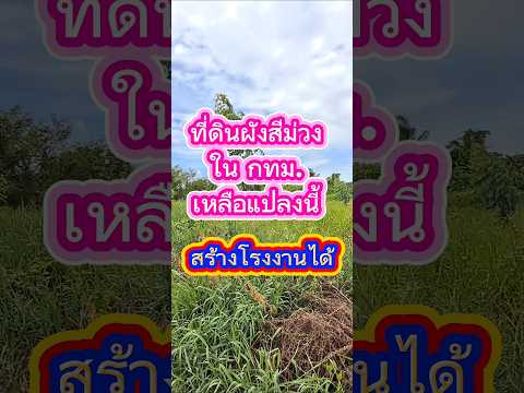 Land for sale, real purple plan (District 1 - District 3), Soi Ekachai 76/1​💥 filled in, 50 cm higher than the road. – รูปที่ 2