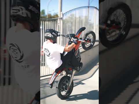 Skatepark Fun
