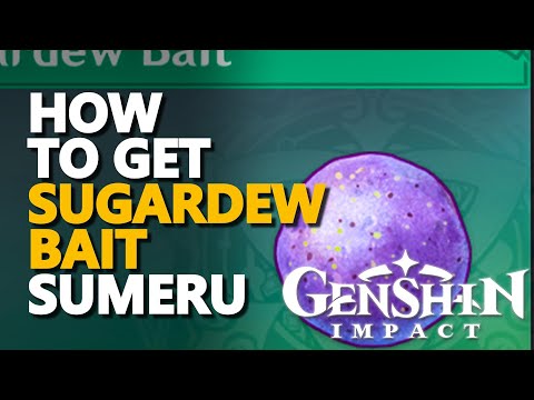 How to get Sugardew Bait Genshin Impact Sumeru