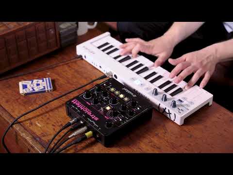 Waldorf Streichfett String Synthesizer image 4