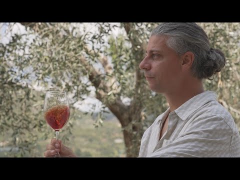 I vini di Alessandro Pialli a Barbarano Vicentino