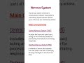 Understanding the Human Nervous System: CNS and PNS Explained