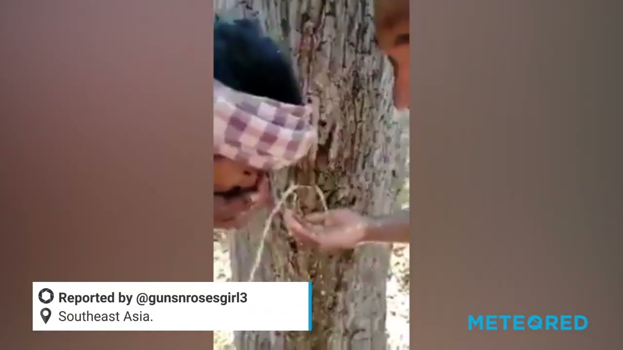 youtube video id=0ohdZ4V6EaU