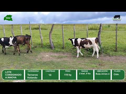 Video del lote L0-000848