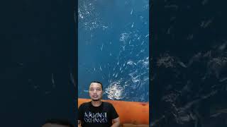 Download lagu KETIKA NASI DI JATUHKAN DIBAWAH RIG PENGEBORAN MINYAK LEPAS PANTAI | Ternyata diluar dugaan... mp3