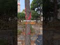 Seongnam South Korea 31 10 2023